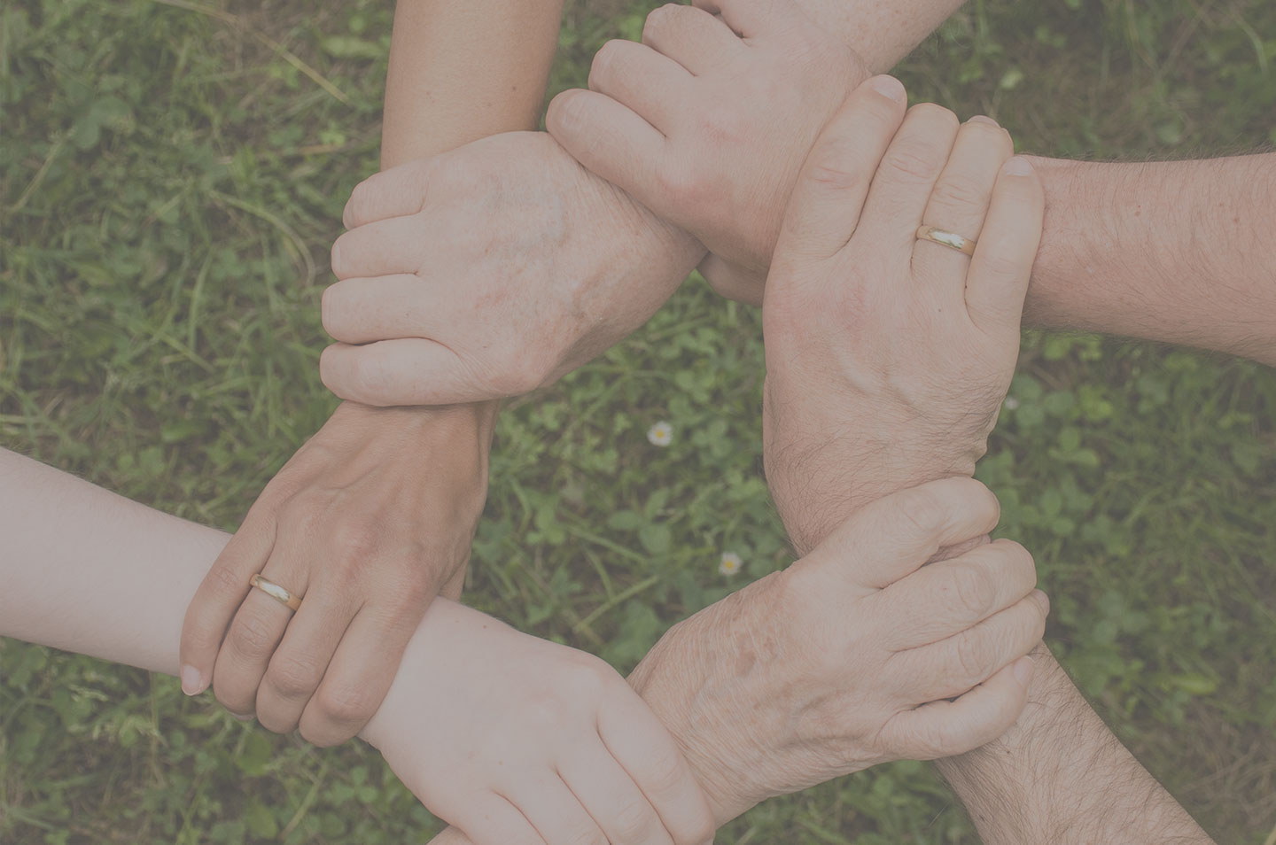 Implement successful CSR projects with InLoox