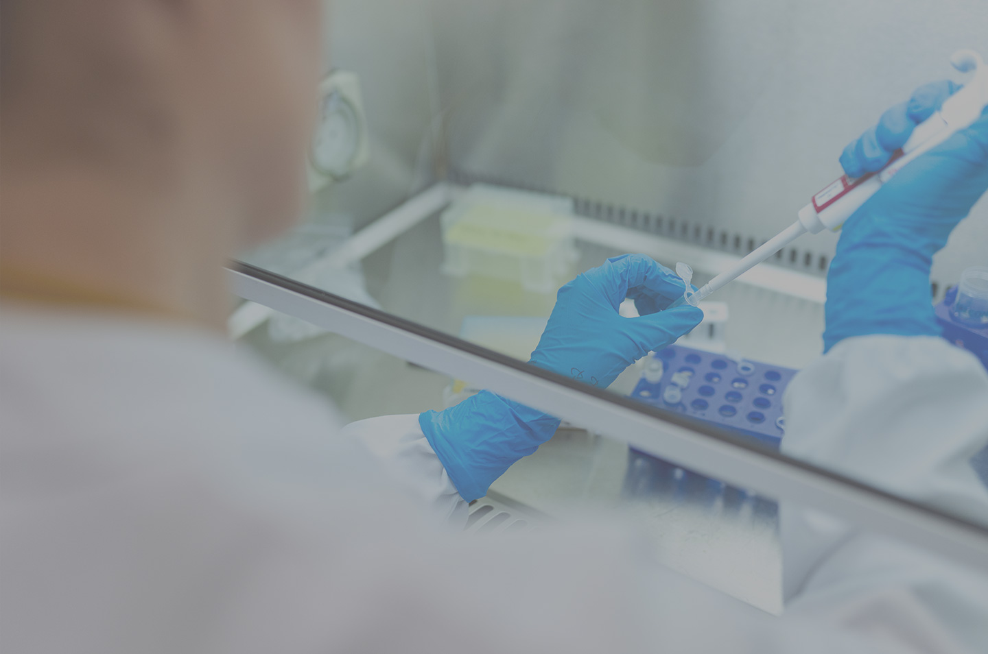 Pharma-Projekte mit InLoox erfolgreich abschließen