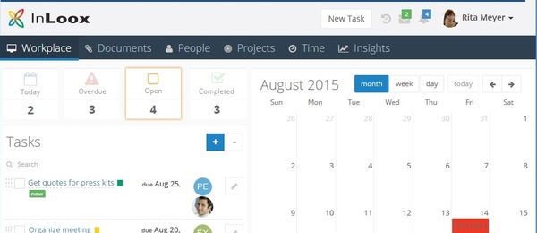 InLoox 9 Web App Workplace