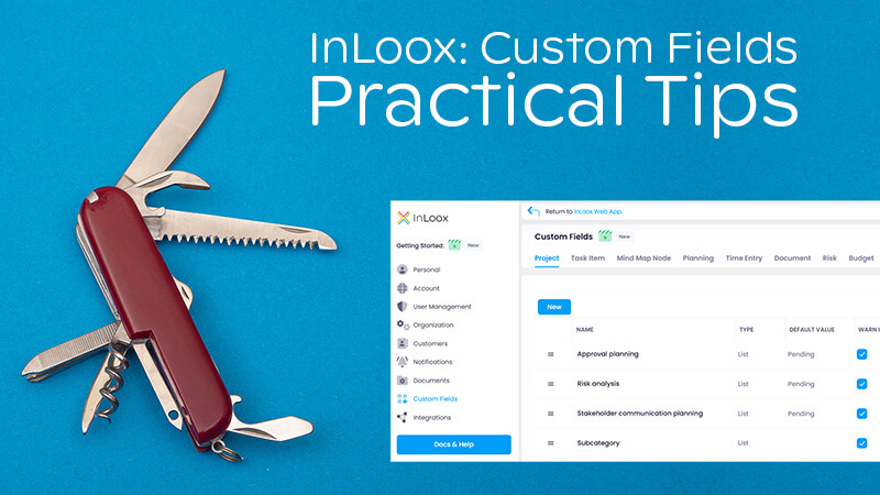 Custom Fields: The Swiss Army Knife in Project Management - InLoox