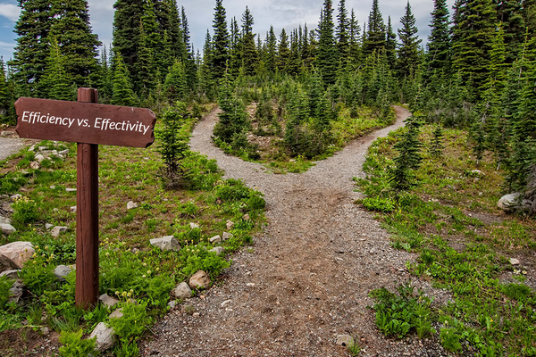Management Basics: What is the Difference Between Efficiency and Effectivity?