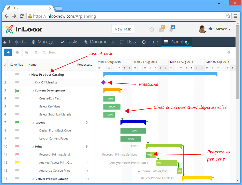 Gantt chart in InLoox Web App 