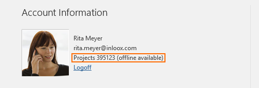 InLoox 10: The new offline availability enables you to work on your projects from anywhere - no matter if you're connected to the project database or have an internet connection