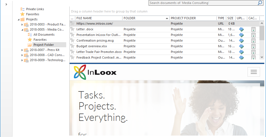 InLoox 10: Navigate through websites directly in the document preview