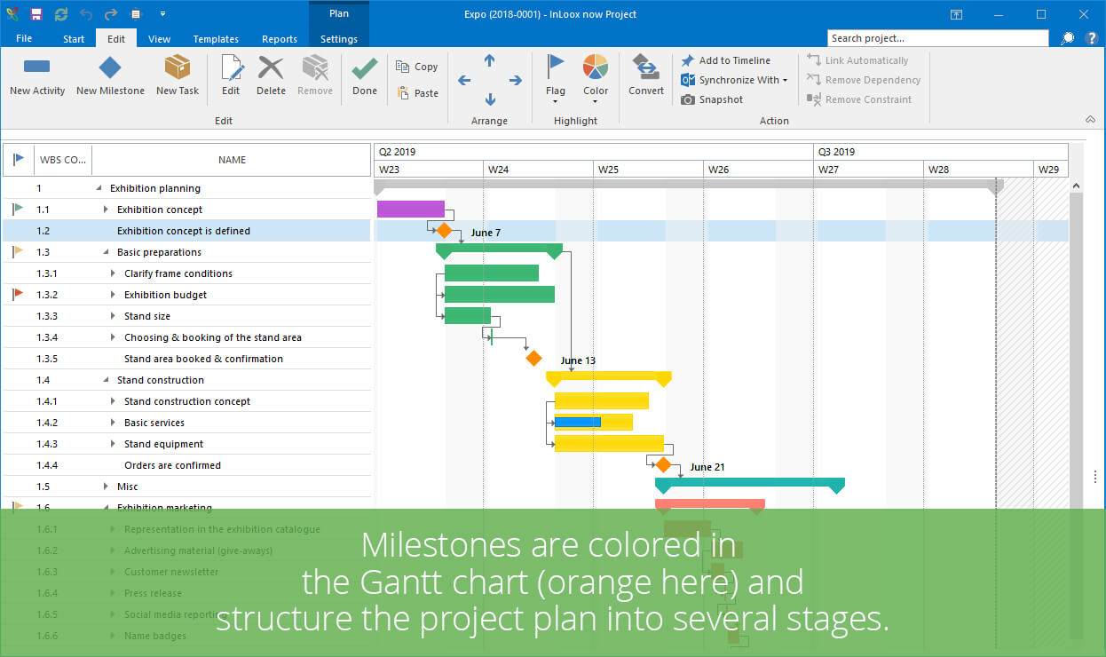 Milestones are colored in the Gantt chart and structure the project plan into several stages