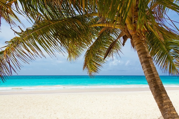 Plan Your Vacation with Project Management