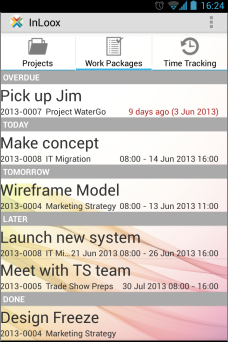 Productive teams: Work packages