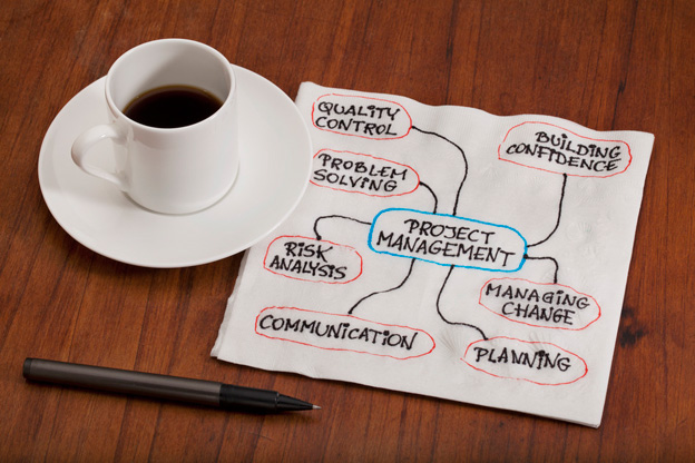 Project management