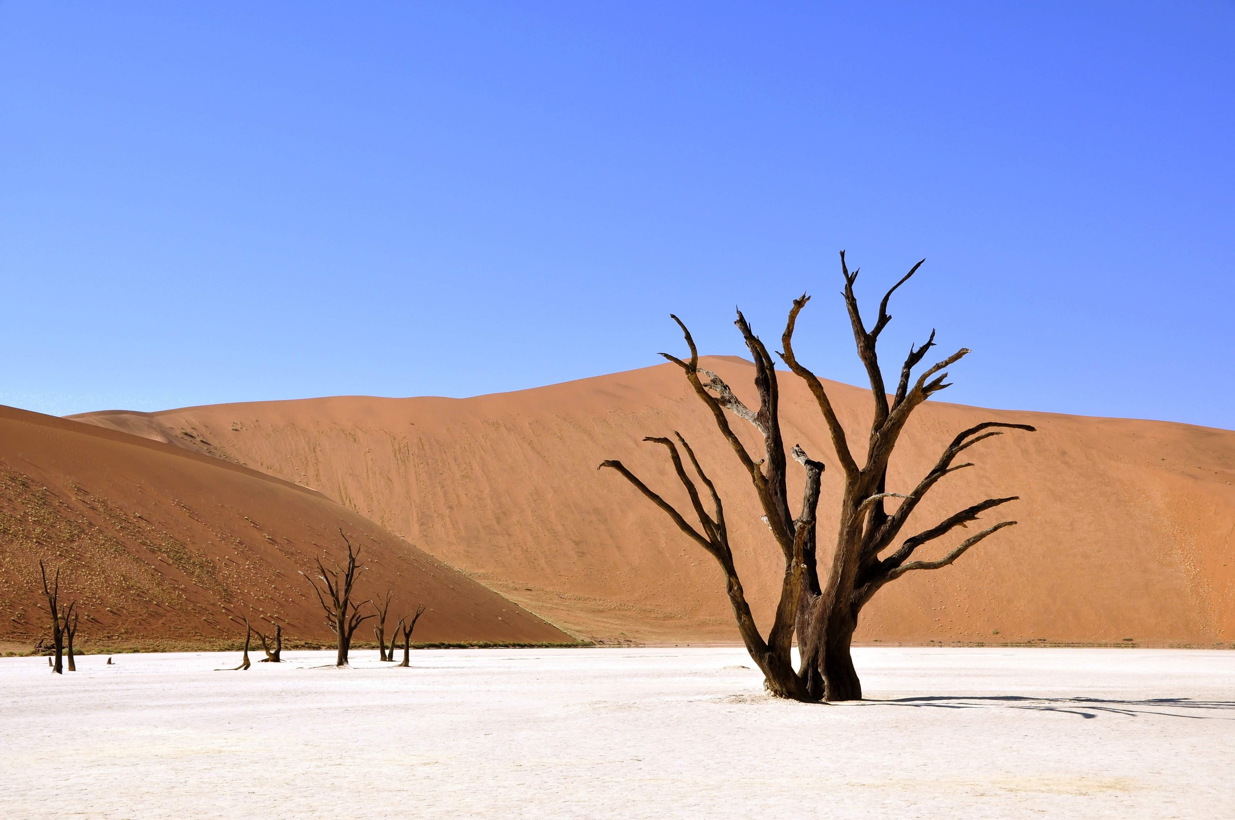 Project Management: How to Revive a Dead Project