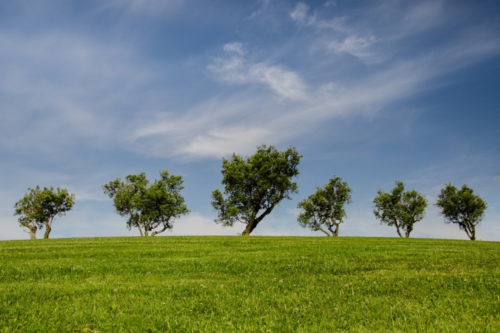 Spring Clean: Time to Improve your Project Management