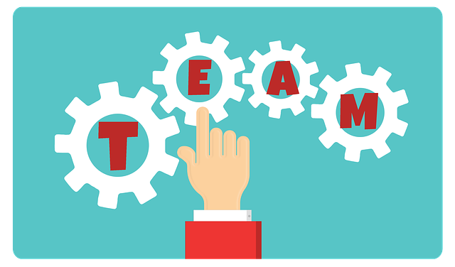 Teamwork: Better together or better alone?