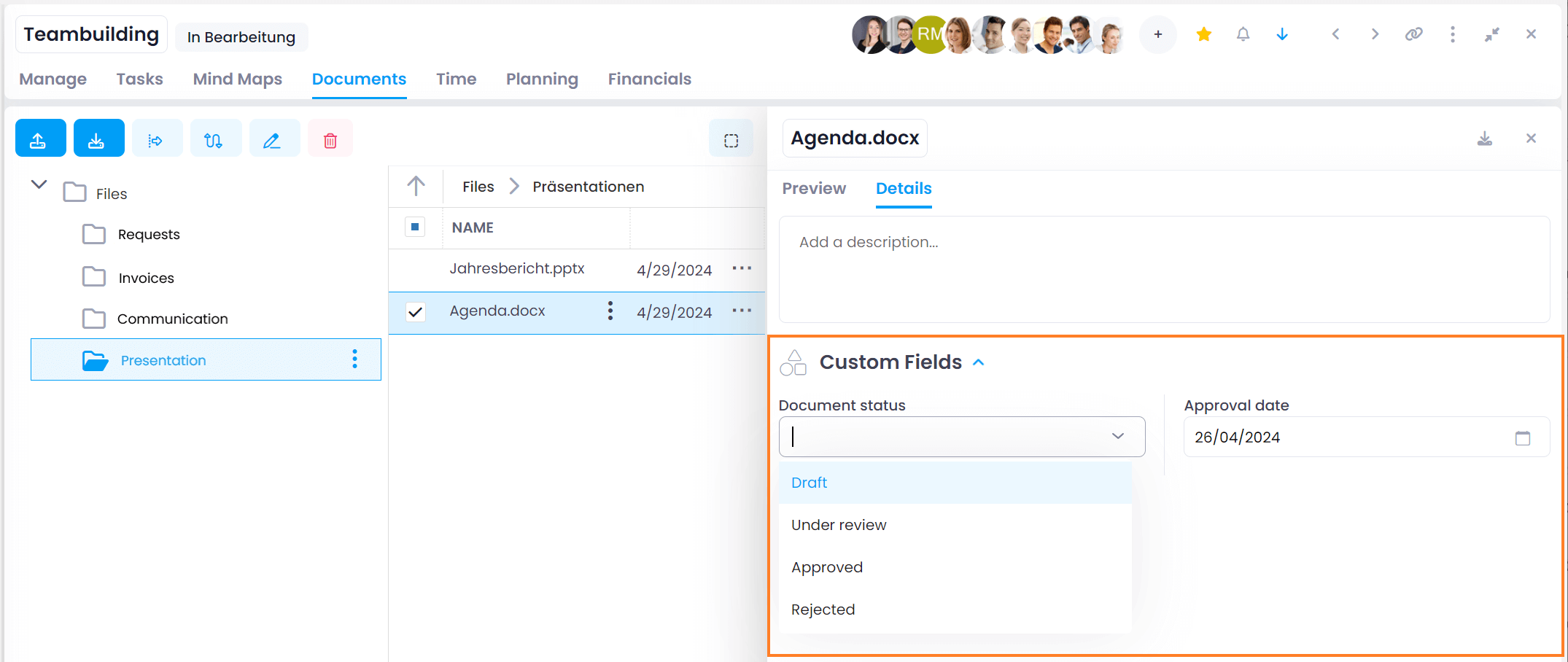 Examples for custom fields on documents