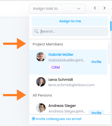 Assign tasks to project members