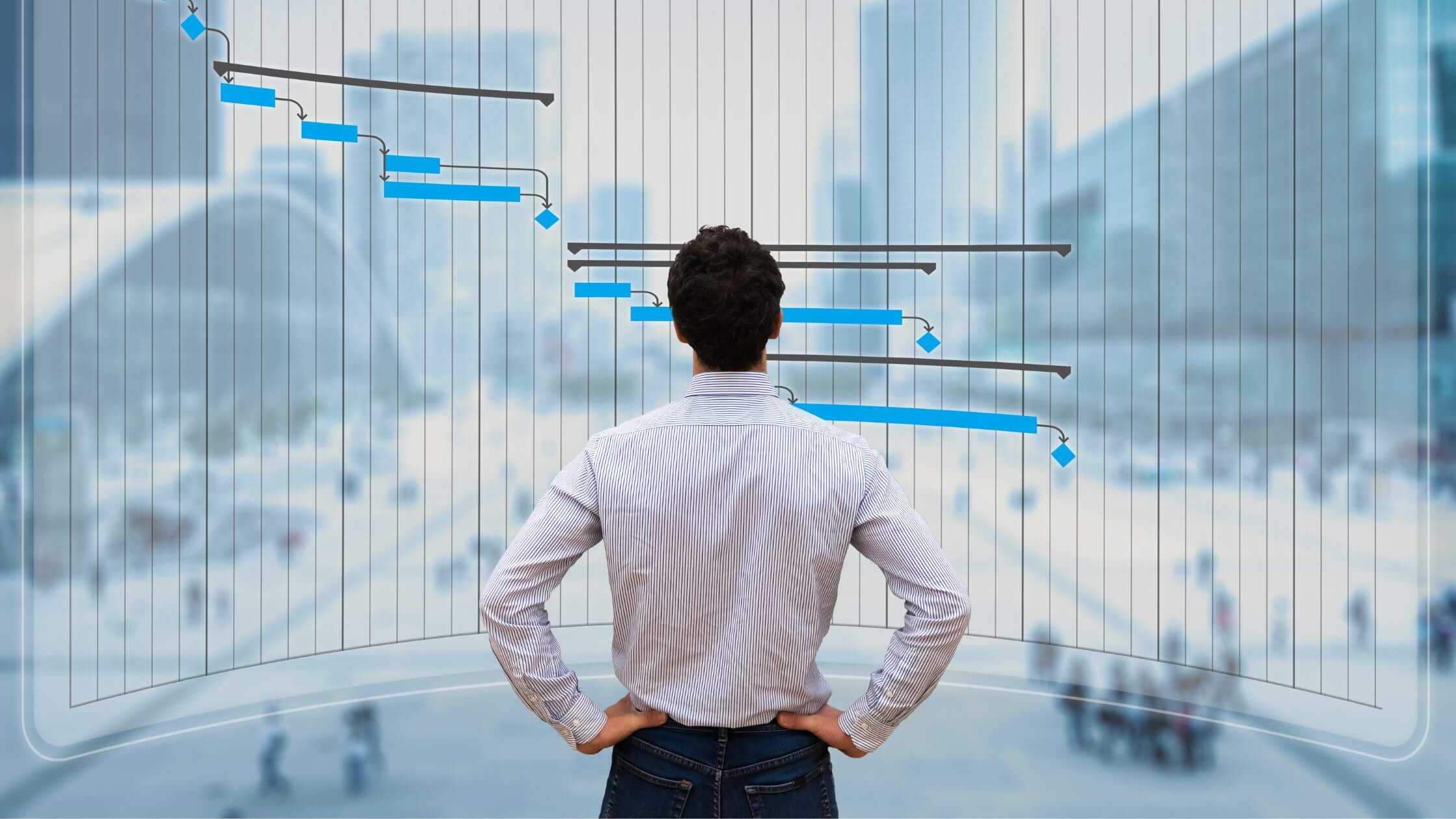Project managment Software with Gantt Chart