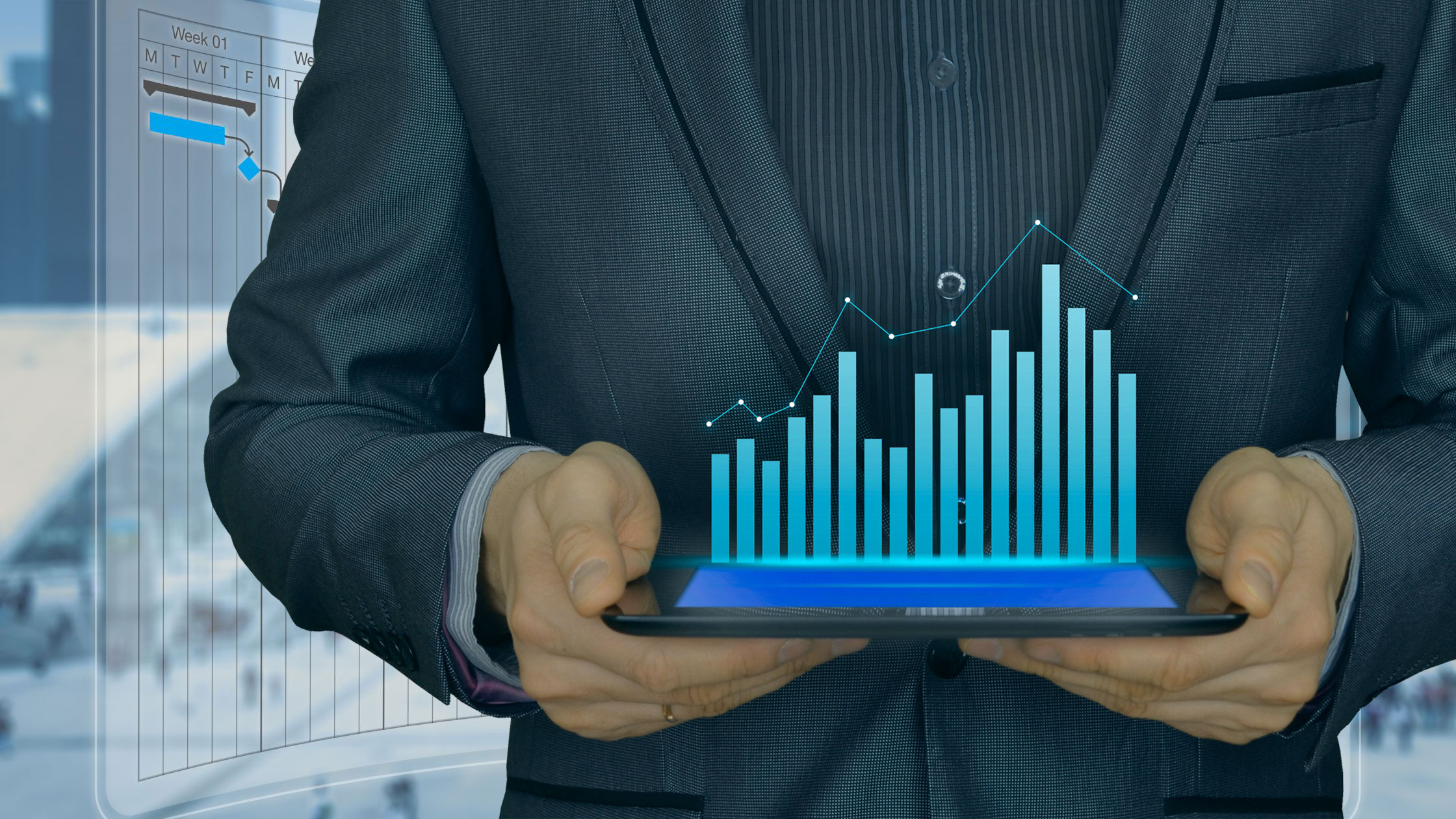 Why project management software? Transparency, controlling and forecasting.